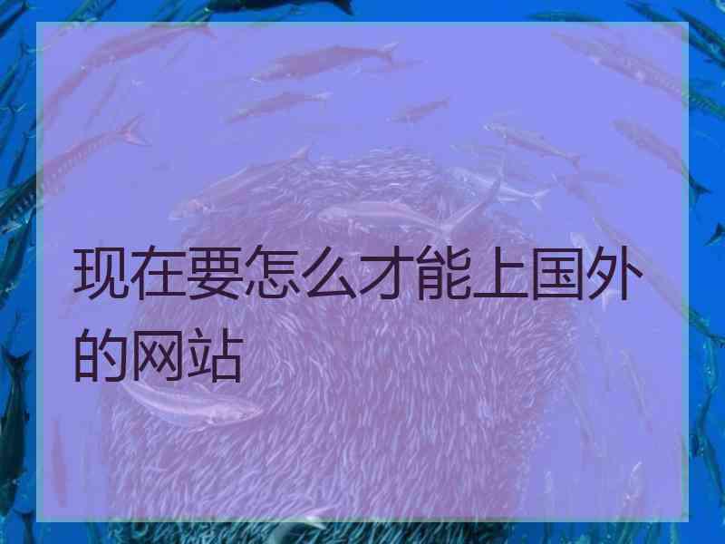 现在要怎么才能上国外的网站