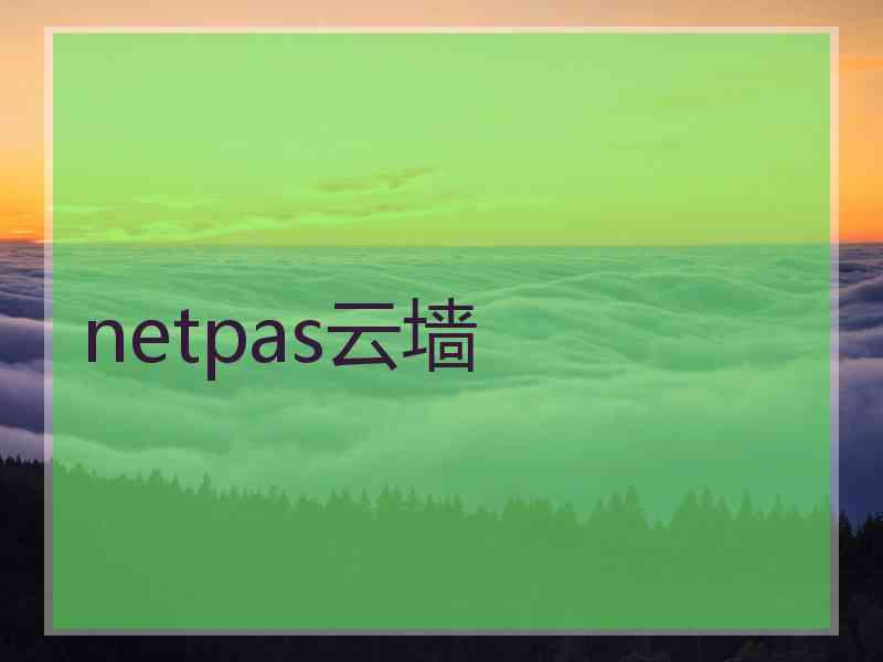 netpas云墙